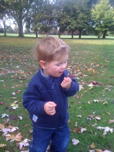 Sniffing leaves!