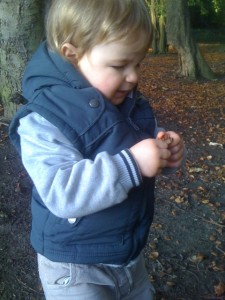 At the woods