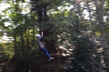 Dinosaur adventure park