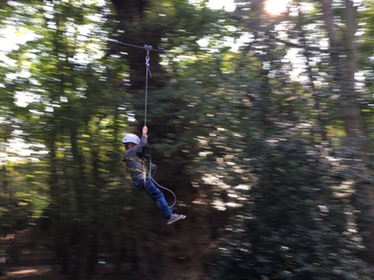 Dinosaur adventure park