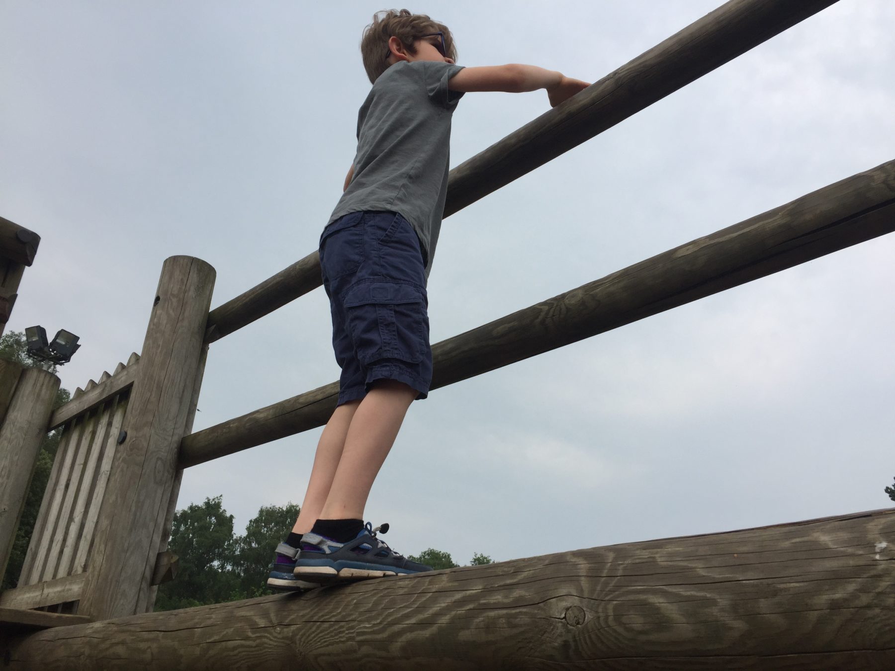 Dinosaur adventure park